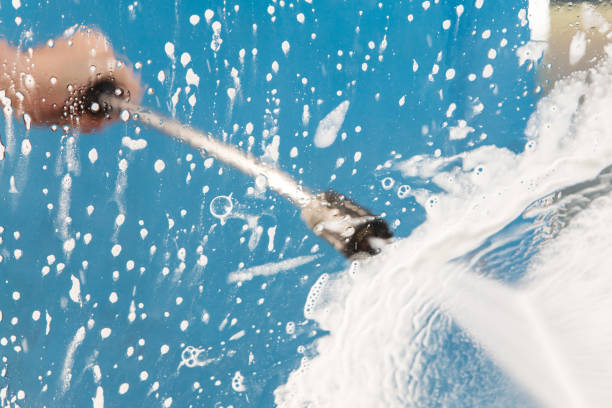 Animal Enclosure Cleaning in Vienna, IL