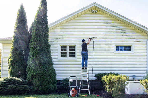 Best Gutter Cleaning  in Vienna, IL