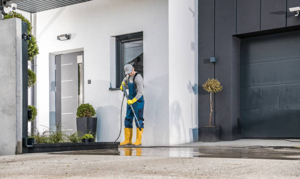 Best Sign and Awning Cleaning  in Vienna, IL